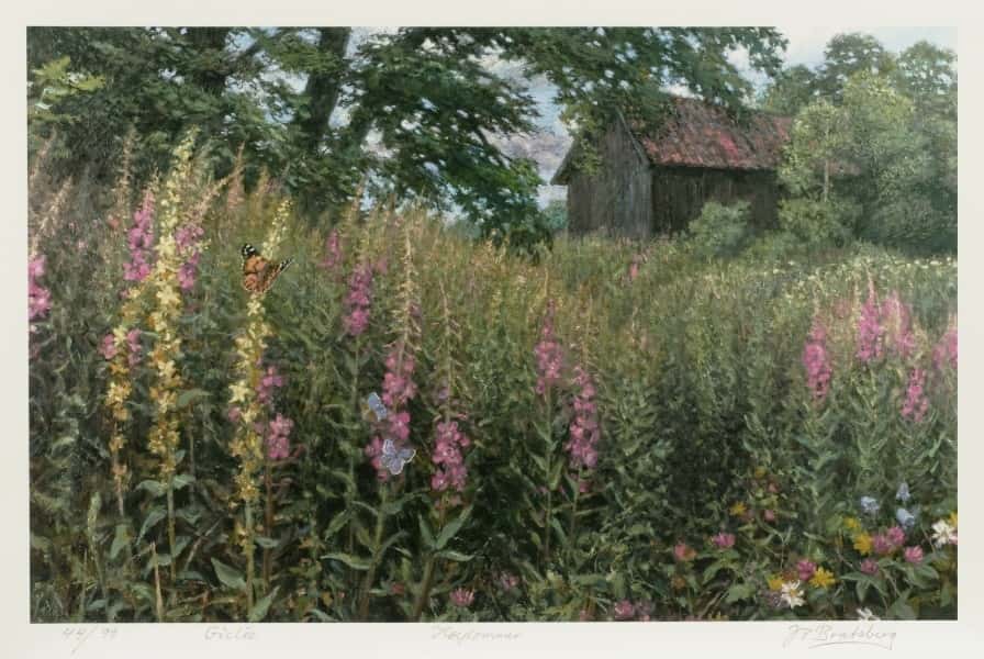 Høysommer av Jan Petter Bratsberg