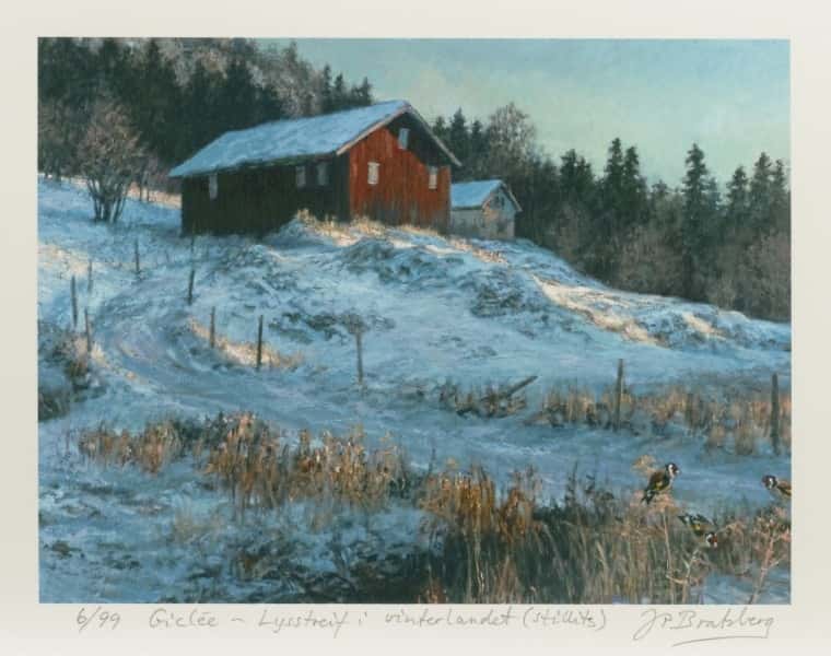 Lysstreif i vinterlandet av Jan Petter Bratsberg