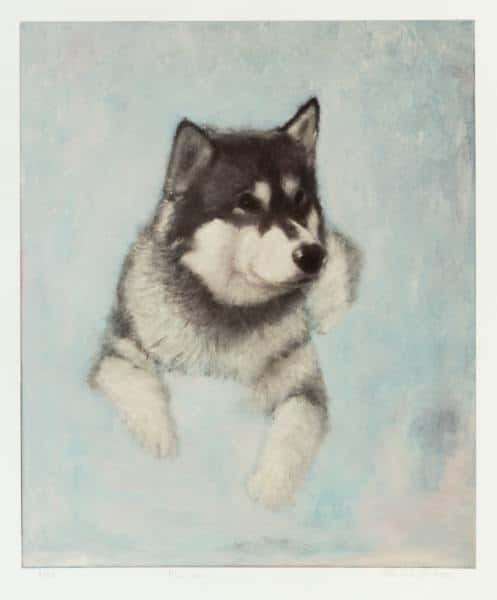 Alaska av John Erik Johnsen