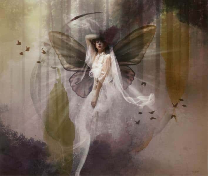 The end of the new beginning av Silje Holst